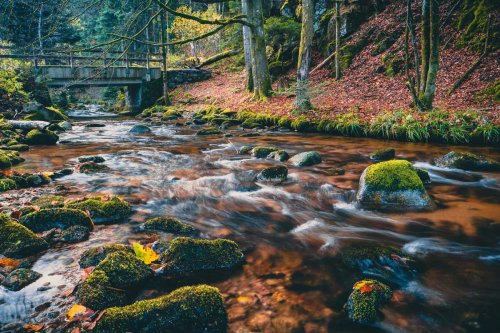 Understanding the Watershed and Why It Matters to Your Community