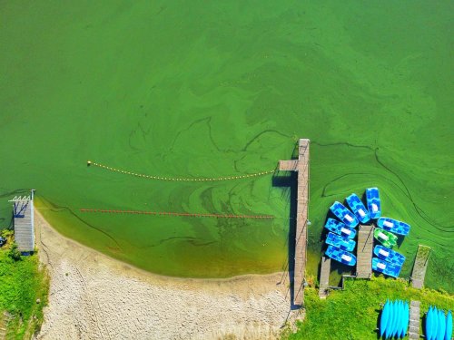 The Effects of Phosphorus and Nitrogen in Stormwater