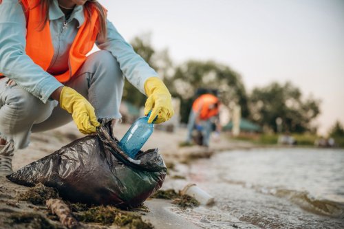 How to Launch an Adopt-a-Stream Program for MS4 Citizen Outreach