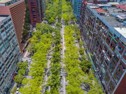 Key Elements of Green Infrastructure: An In-Depth Overview