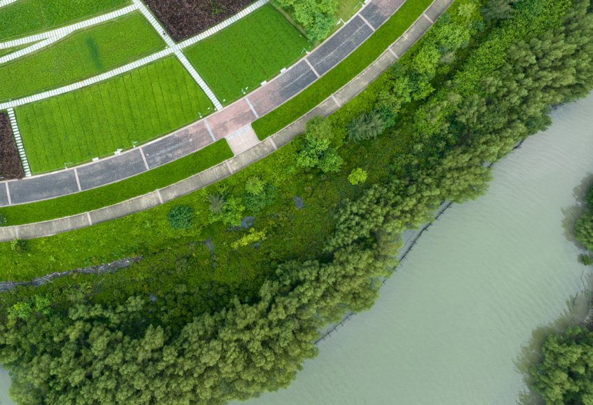 The Power of Riparian Buffers: Natural Defenders of Watershed Health