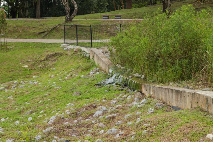 From Pipes to Plants: How Cities Transition Stormwater Budgets to Nature-Based Solutions