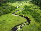 Understanding Riparian Ecosystems: Their Function, Value, and the Threats They Face