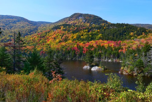 Adirondack Watershed Institute: Safeguarding the Health of New York’s Freshwater Systems