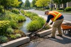 Bioswale Maintenance 101: Keeping Green Infrastructure Working